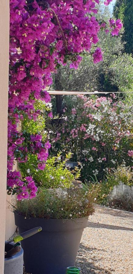 La Bastide Aux Oliviers 호텔 투레트-쉬르-루 외부 사진